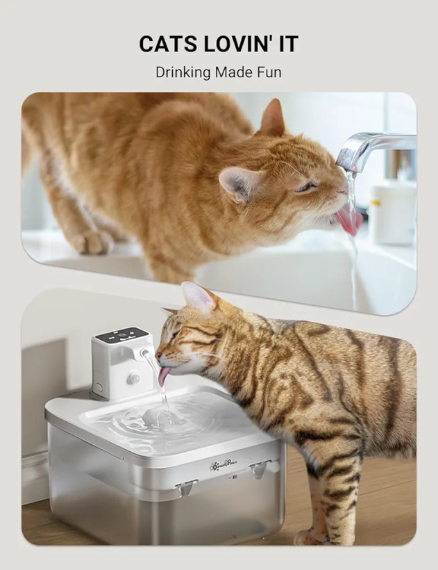 آبخوری با ظرف آب استیل ضد زنگ شارژی گربه و سگ،2.5 لیتری سنسور دار برند DownyPaws